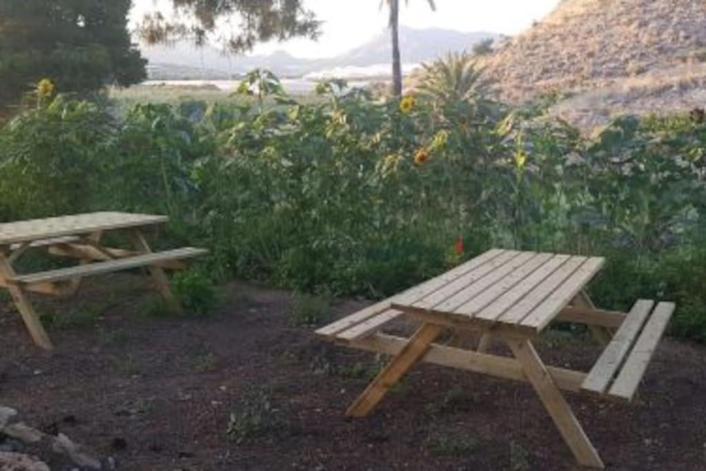 Oasis De Ifre Villa Canada de Gallego Bagian luar foto