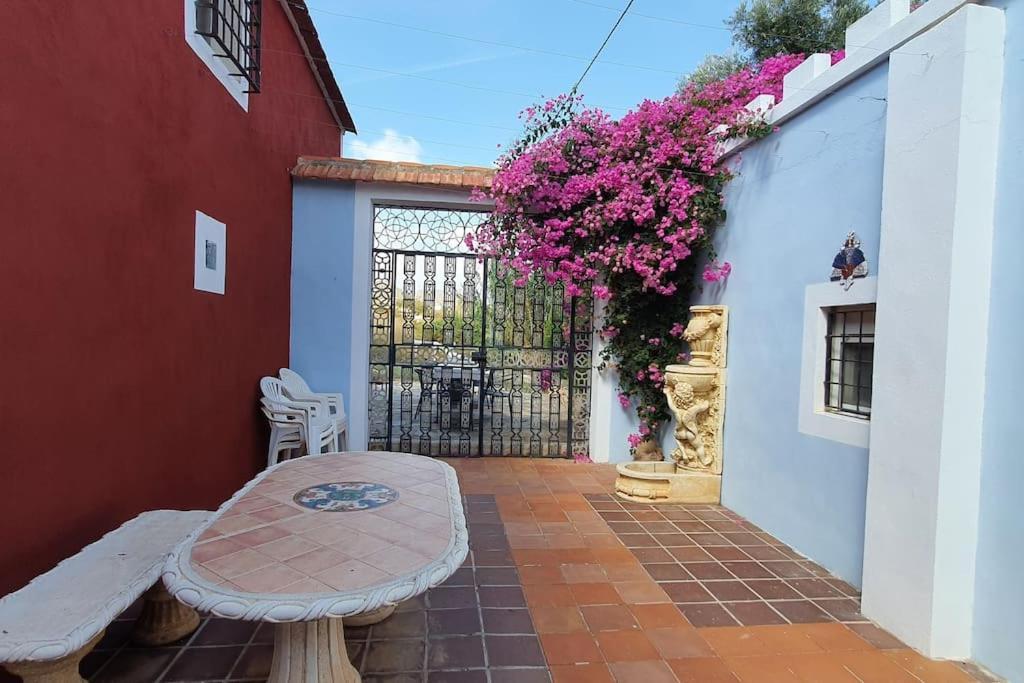 Oasis De Ifre Villa Canada de Gallego Bagian luar foto