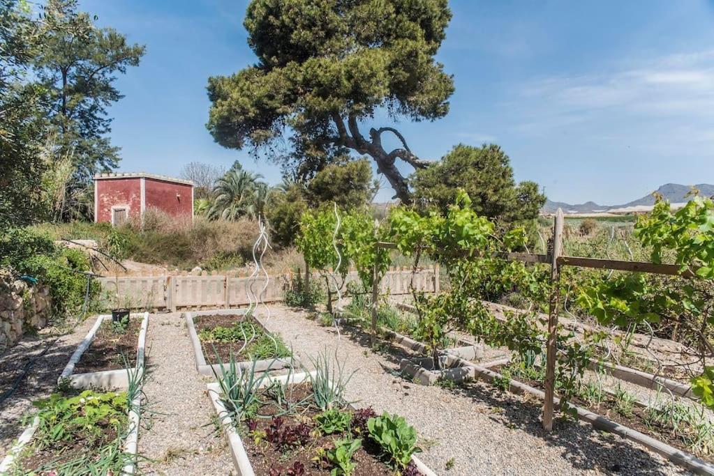 Oasis De Ifre Villa Canada de Gallego Bagian luar foto