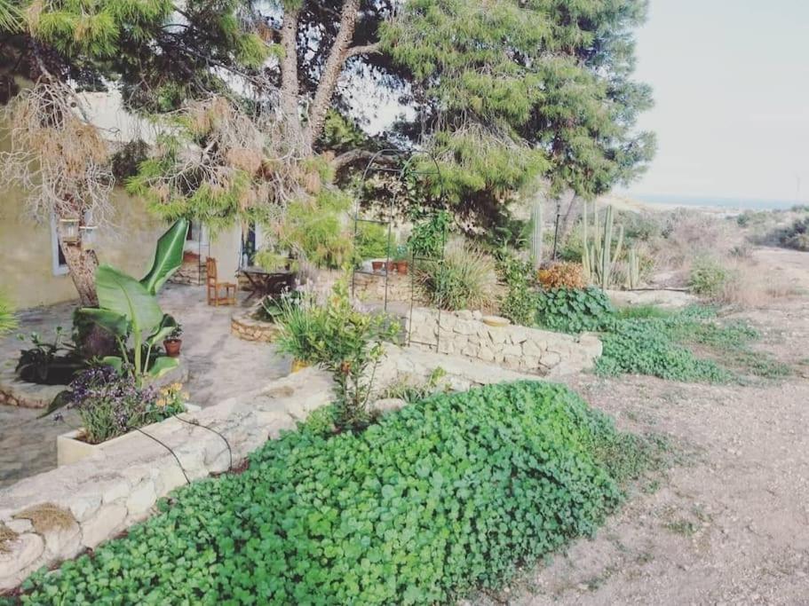 Oasis De Ifre Villa Canada de Gallego Bagian luar foto
