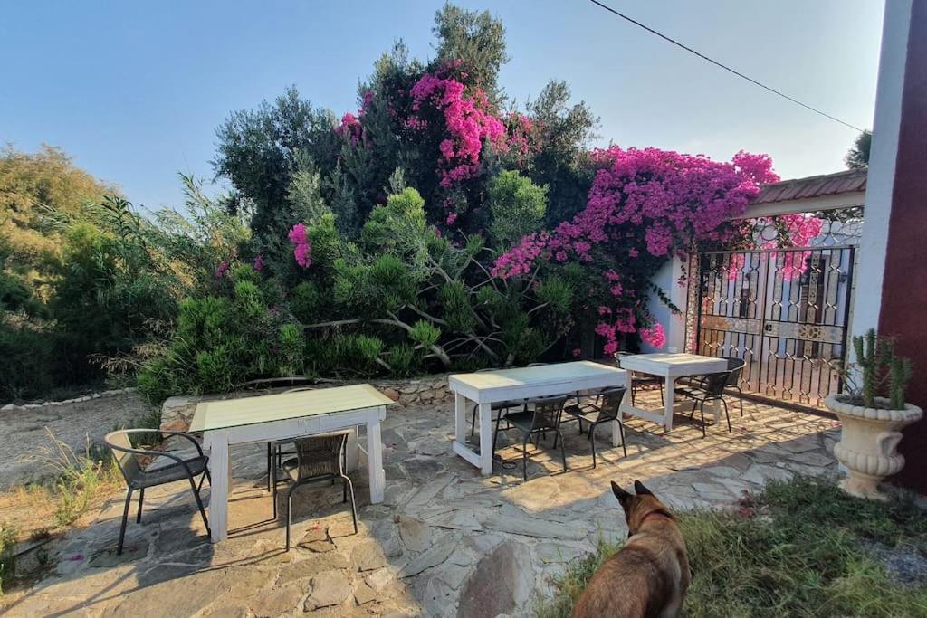 Oasis De Ifre Villa Canada de Gallego Bagian luar foto