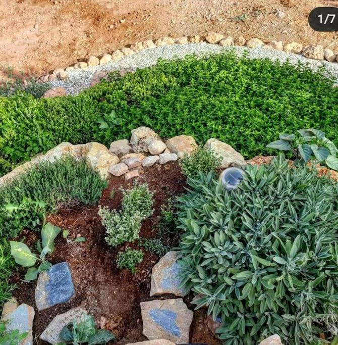 Oasis De Ifre Villa Canada de Gallego Bagian luar foto